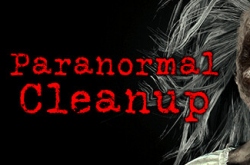 Paranormal Cleanup over the network online