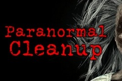 Paranormal Cleanup по сети