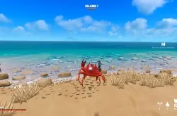 Crab Champions по сети