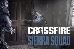 Crossfire Sierra Squad по сети